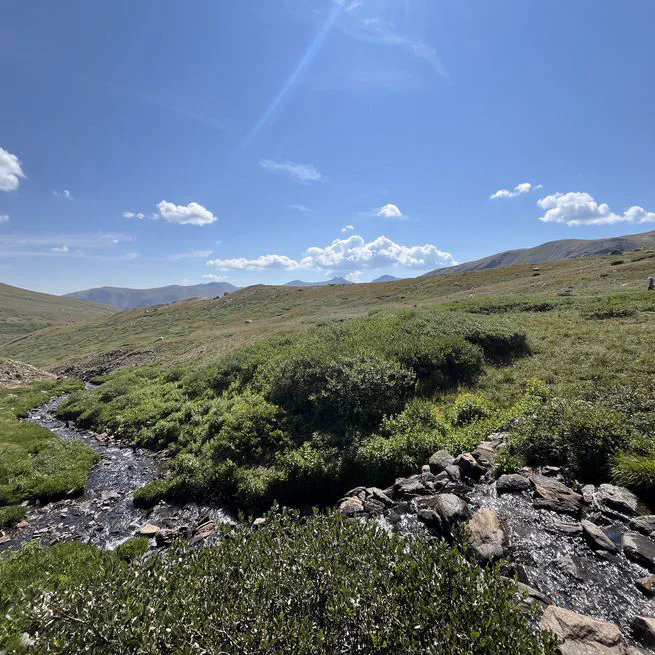 APPIC Directory Spreadsheet