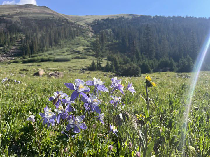 Assessment Score Reports