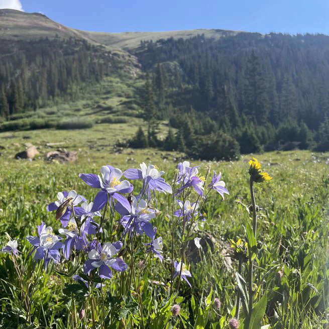 Assessment Score Reports