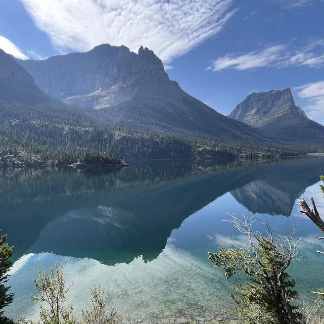 Transcript Processing